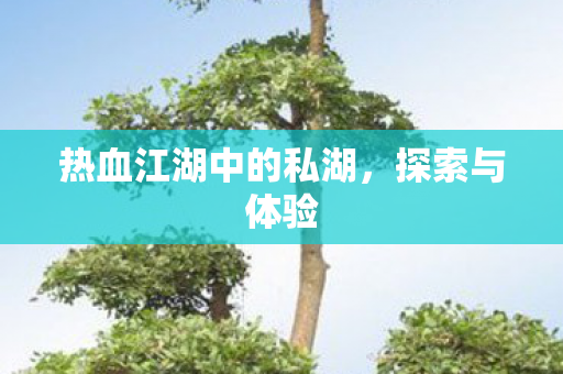 热血江湖中的私湖，探索与体验