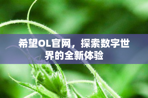 希望OL官网,探索数字世界的全新体验 希望OL官网,探索数字世界的全新体验