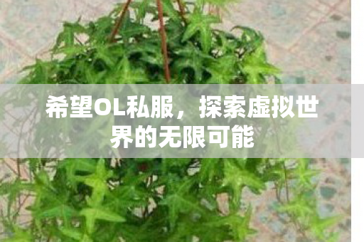 希望OL私服,探索虚拟世界的无限可能 希望OL私服,探索虚拟世界的无限可能