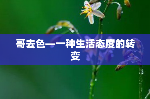 哥去色—一种生活态度的转变