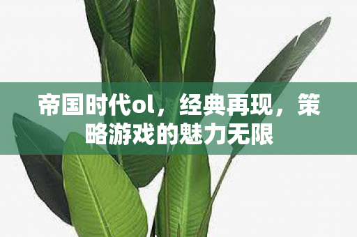 帝国时代ol,经典再现,策略游戏的魅力无限 帝国时代ol,经典再现,策略游戏的魅力无限