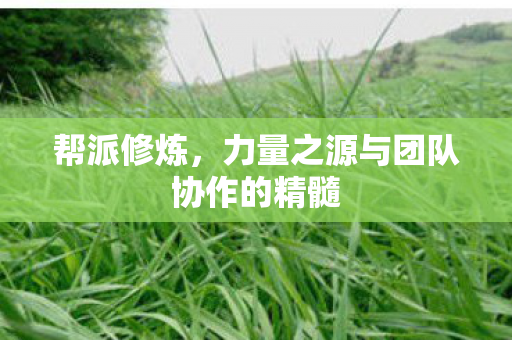 帮派修炼，力量之源与团队协作的精髓