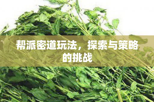 帮派密道玩法，探索与策略的挑战