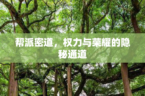 帮派密道,权力与荣耀的隐秘通道 帮派密道,权力与荣耀的隐秘通道