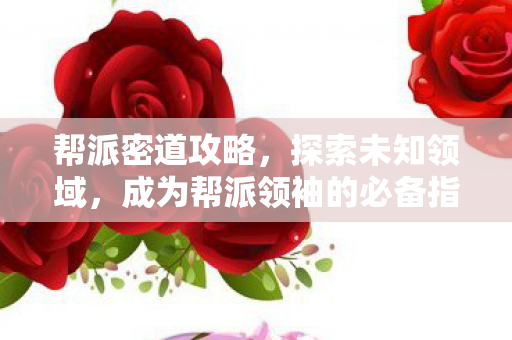 帮派密道攻略,探索未知领域,成为帮派领袖的必备指南 帮派密道攻略,探索未知领域,成为帮派领袖的必备指南