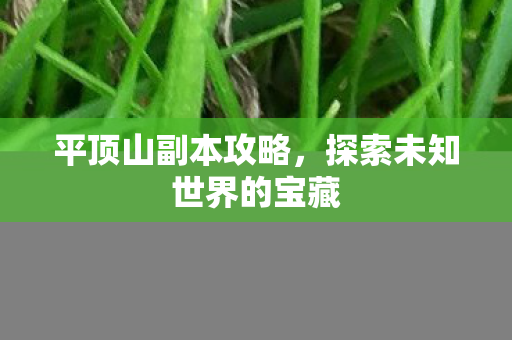 平顶山副本攻略，探索未知世界的宝藏