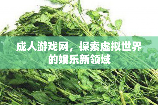 成人游戏网,探索虚拟世界的娱乐新领域 成人游戏网,探索虚拟世界的娱乐新领域
