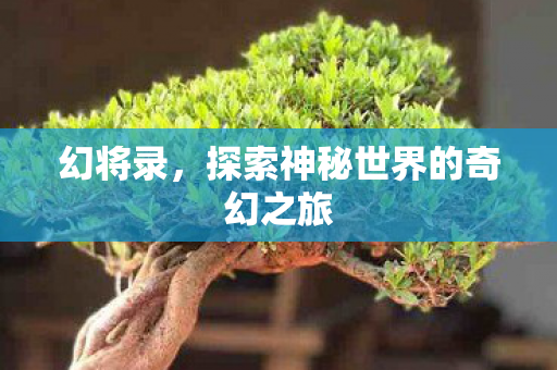 幻将录，探索神秘世界的奇幻之旅