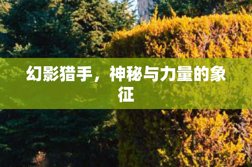 幻影猎手，神秘与力量的象征