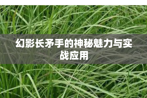 幻影长矛手的神秘魅力与实战应用 幻影长矛手的神秘魅力与实战应用