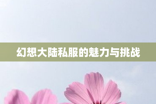幻想大陆私服的魅力与挑战