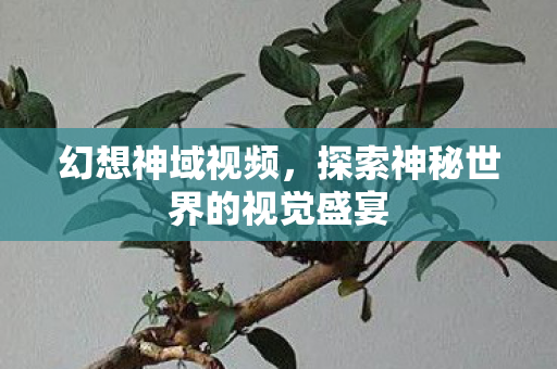 幻想神域视频,探索神秘世界的视觉盛宴 幻想神域视频,探索神秘世界的视觉盛宴