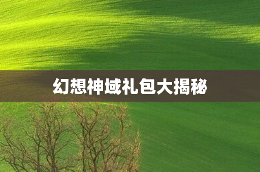 幻想神域礼包大揭秘