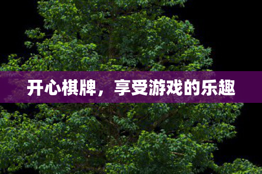 开心棋牌，享受游戏的乐趣