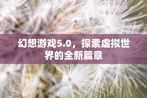 幻想游戏5.0，探索虚拟世界的全新篇章