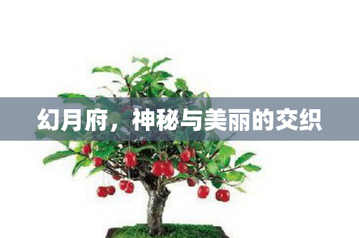 幻月府,神秘与美丽的交织 幻月府,神秘与美丽的交织