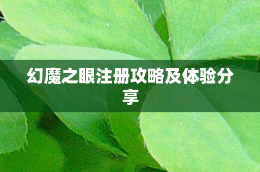 幻魔之眼注册攻略及体验分享