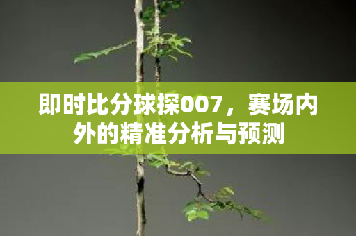 即时比分球探007，赛场内外的精准分析与预测