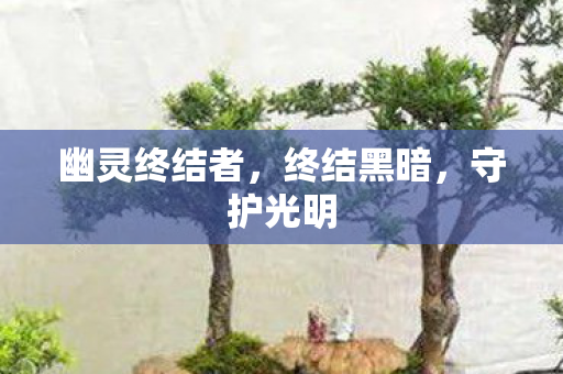 幽灵终结者,终结黑暗,守护光明 幽灵终结者,终结黑暗,守护光明