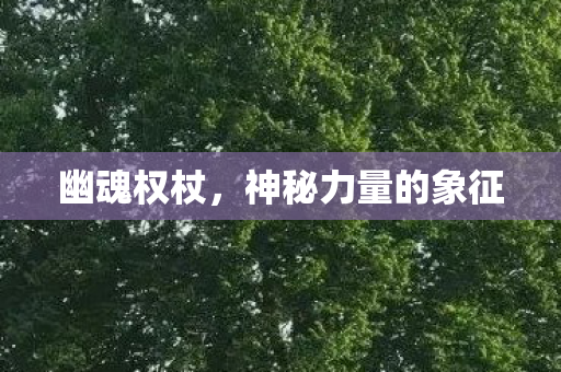 幽魂权杖，神秘力量的象征