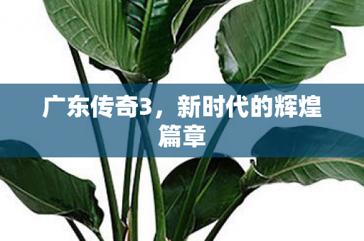 广东传奇3，新时代的辉煌篇章