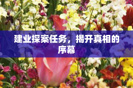 建业探案任务,揭开真相的序幕 建业探案任务,揭开真相的序幕