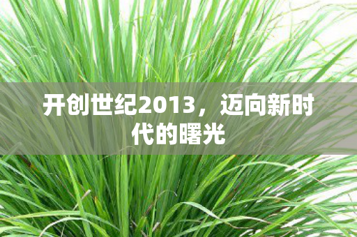 开创世纪2013,迈向新时代的曙光 开创世纪2013,迈向新时代的曙光