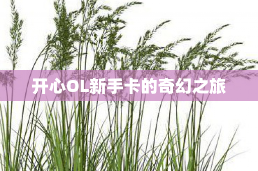 开心OL新手卡的奇幻之旅 开心OL新手卡的奇幻之旅