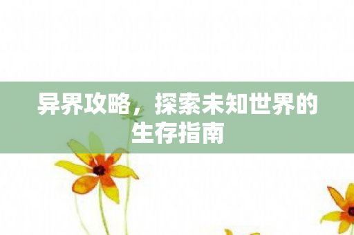 异界攻略，探索未知世界的生存指南