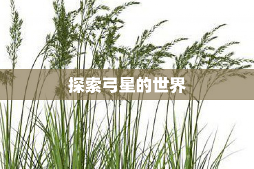 探索弓星的世界