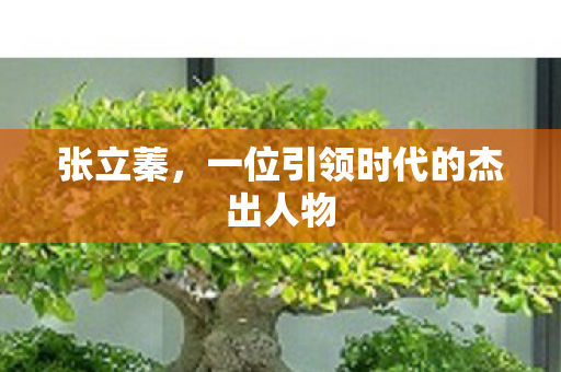 张立蓁，一位引领时代的杰出人物