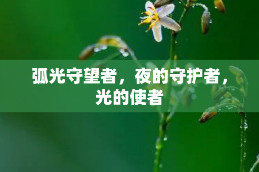 弧光守望者，夜的守护者，光的使者