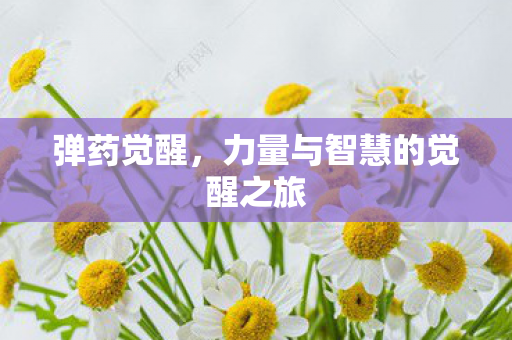 弹药觉醒,力量与智慧的觉醒之旅 弹药觉醒,力量与智慧的觉醒之旅