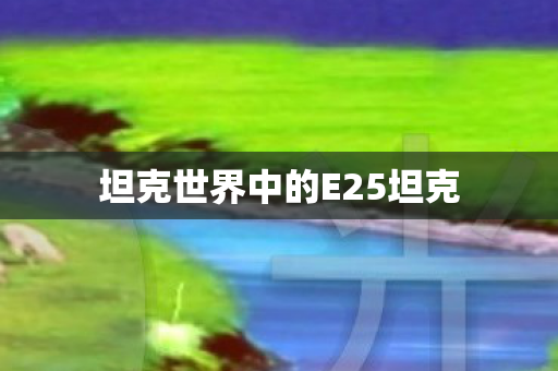 坦克世界中的E25坦克