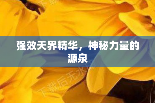 强效天界精华，神秘力量的源泉
