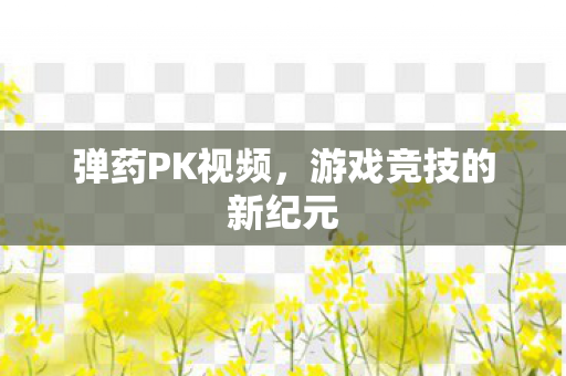 弹药PK视频，游戏竞技的新纪元