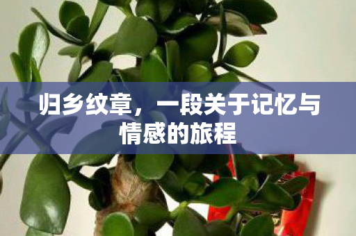 归乡纹章,一段关于记忆与情感的旅程 归乡纹章,一段关于记忆与情感的旅程