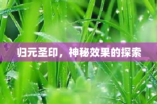 归元圣印,神秘效果的探索 归元圣印,神秘效果的探索