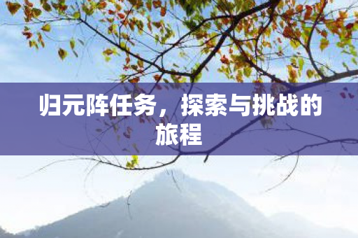 归元阵任务,探索与挑战的旅程 归元阵任务,探索与挑战的旅程