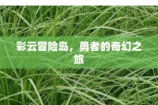 彩云冒险岛，勇者的奇幻之旅