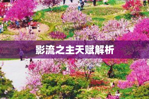 影流之主天赋解析