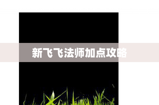新飞飞法师加点攻略