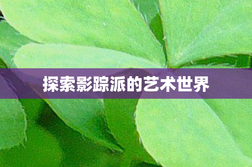 探索影踪派的艺术世界 探索影踪派的艺术世界