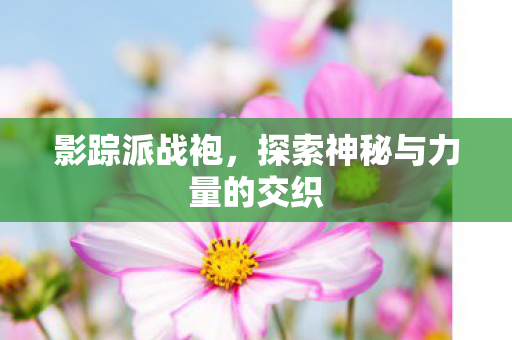 影踪派战袍,探索神秘与力量的交织 影踪派战袍,探索神秘与力量的交织