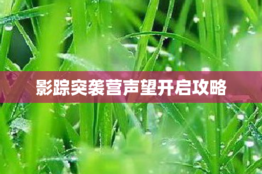 影踪突袭营声望开启攻略