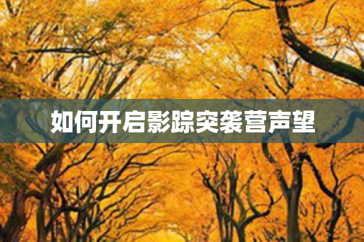 如何开启影踪突袭营声望 如何开启影踪突袭营声望