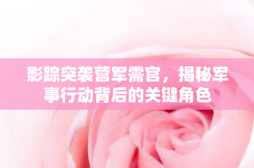 影踪突袭营军需官,揭秘军事行动背后的关键角色 影踪突袭营军需官,揭秘军事行动背后的关键角色