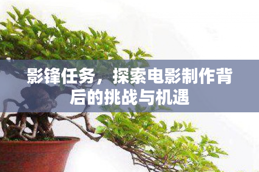 影锋任务,探索电影制作背后的挑战与机遇 影锋任务,探索电影制作背后的挑战与机遇