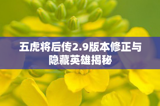 五虎将后传2.9版本修正与隐藏英雄揭秘