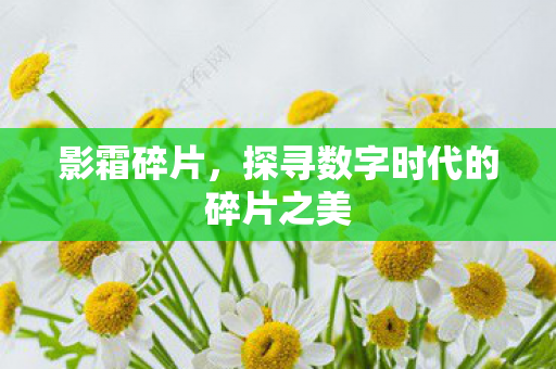 影霜碎片,探寻数字时代的碎片之美 影霜碎片,探寻数字时代的碎片之美
